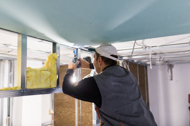 Best Insulation for Specific Applications in Plymouth, CA