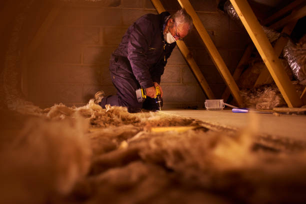 Best Geographic-Specific Insulation Services in Plymouth, CA